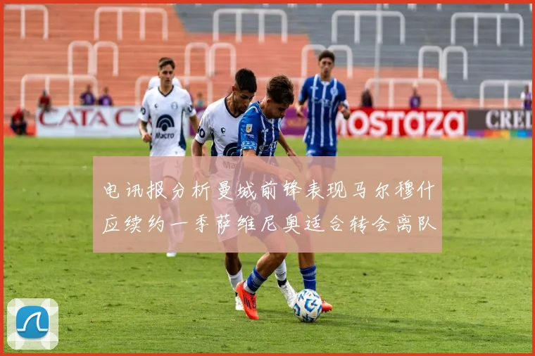电讯报分析曼城前锋表现马尔穆什应续约一季萨维尼奥适合转会离队